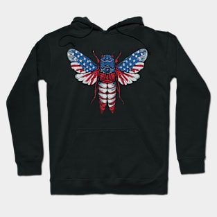 Cicada 2024 Event Retro USA Flag 4th of July Hoodie